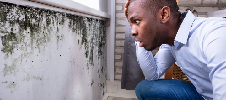 Do You Have a Mold Problem?
